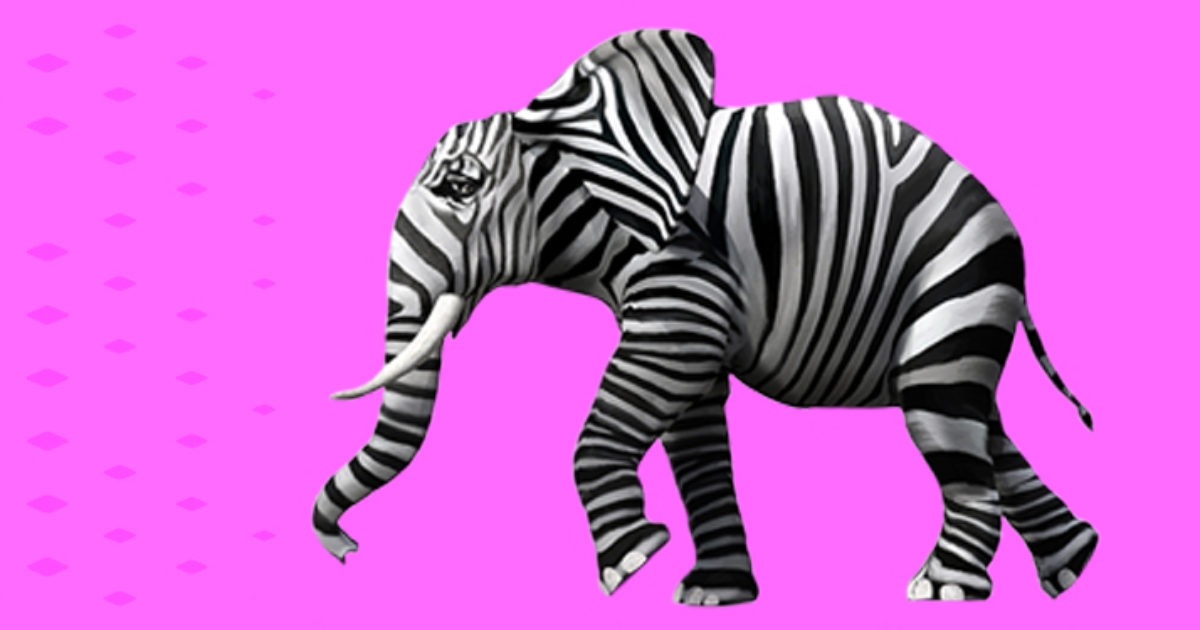 Zebra – B2C  Poster & Frame